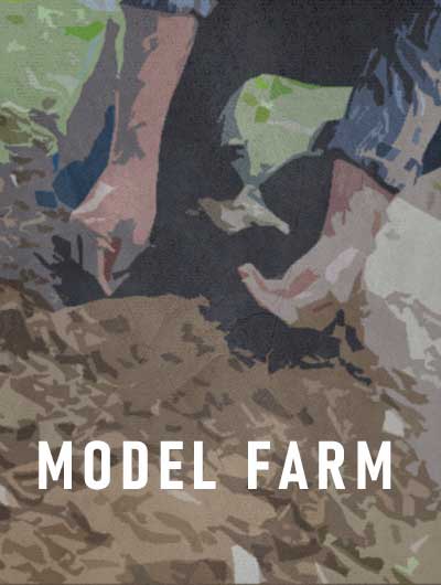 Model Farm